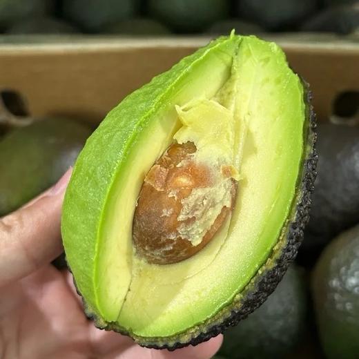 进口牛油果 商品图0