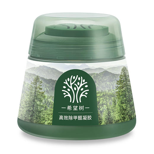 【严选热销】Full of Hope 希望树甲醛凝胶（升级版）200g 新房除甲醛 除异味 商品图2