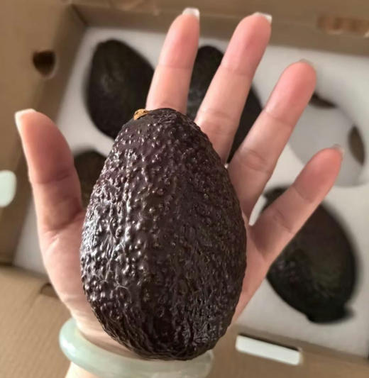 秘鲁进口牛油果 | “森林奶油”，软糯浓郁，细腻香醇，多种做法，好吃的停不下来！ 商品图1