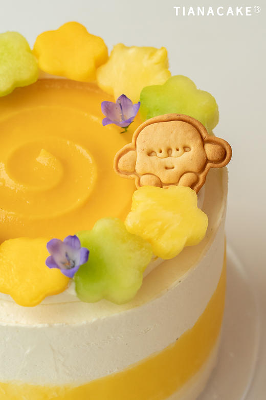 🍃轻盈仲夏【🍍玄米粹凤梨】 商品图7