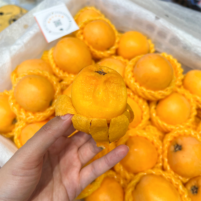 长虹枇杷  口感润田 这个季节枇杷界甜度高的