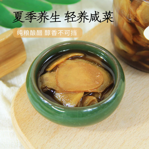 正安优选·醋泡怀姜 酸脆爽口 口感醇厚 商品图4
