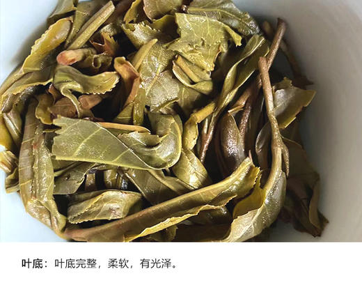 生普 | 千百树 2025年 大雪山核心 优选地块 【限量发售】樱花语单株357g/饼 商品图5