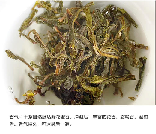 生普 | 千百树 2025年 大雪山核心 优选地块 【限量发售】樱花语单株357g/饼 商品图3