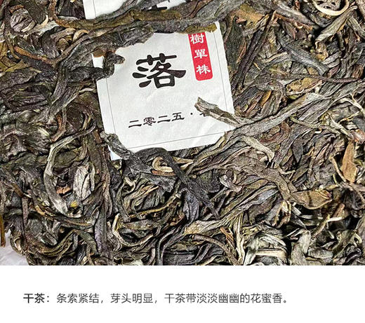 生普 | 千百树 2025年 大雪山核心 优选地块 【限量发售】樱花语单株357g/饼 商品图1