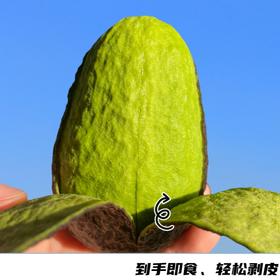 秘鲁进口牛油果 | “森林奶油”，软糯浓郁，细腻香醇，多种做法，好吃的停不下来！