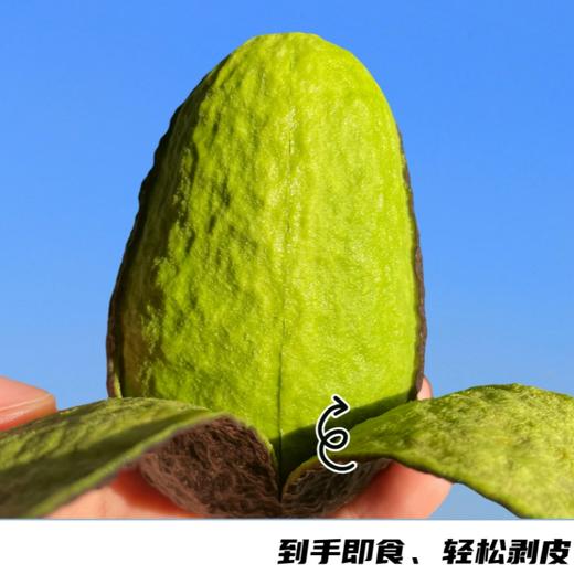 秘鲁进口牛油果 | “森林奶油”，软糯浓郁，细腻香醇，多种做法，好吃的停不下来！ 商品图0