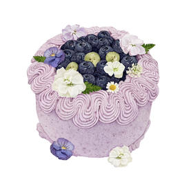 蓝莓冷萃酸奶（储值会员8.5折）