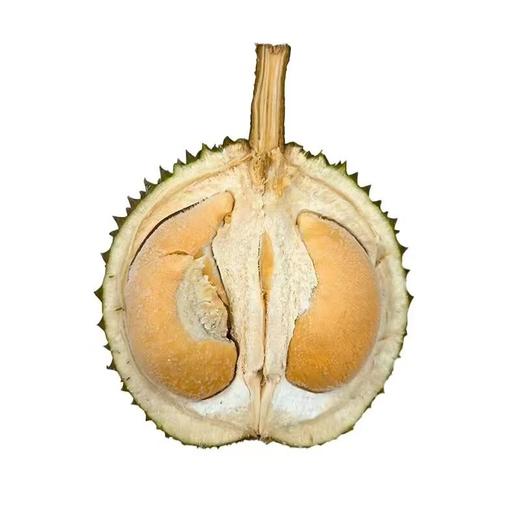 冷冻原粒带壳榴莲（D200黑刺）2.0kg/个 商品图2