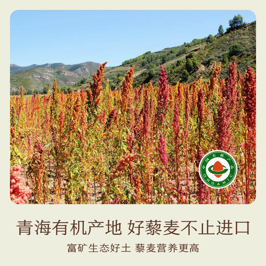 【周三南友日】大客厅专享 藜麦组合 32.9元 限量秒杀 普快包邮 商品图1