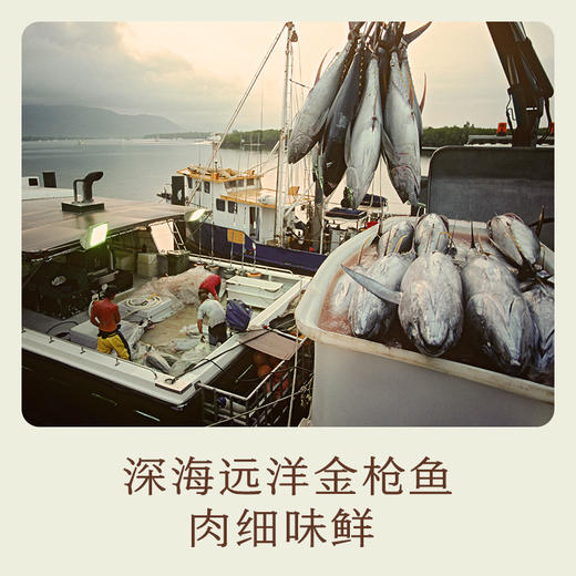 南食召 金枪鱼罐头 商品图3