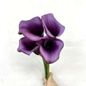 4月3日马蹄莲杜邦B级-5支（L农场）