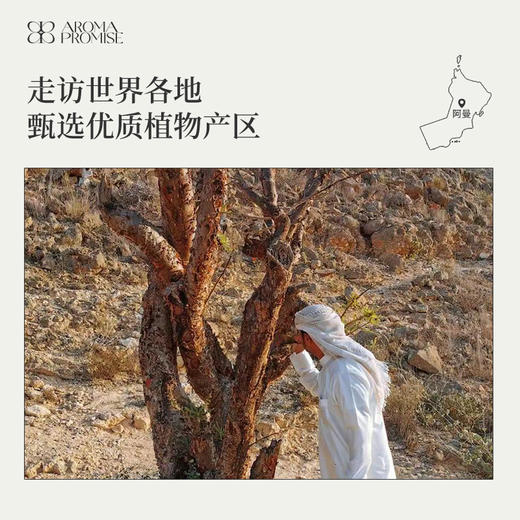 乳香精油5ml 清新淡雅树脂香 安抚情绪滋养肌肤 商品图5