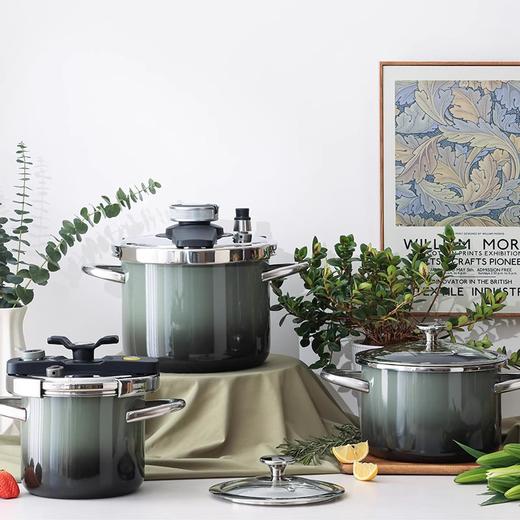 BRICKELL黑森林系列珐琅快压锅家用燃气电磁炉通用 4L 商品图2