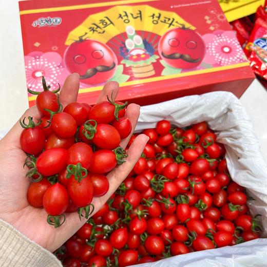 刘婆婆小甜甜千禧 小番茄 圣女果 好吃的甜番茄 商品图10