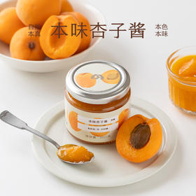 南食召 本味杏子酱