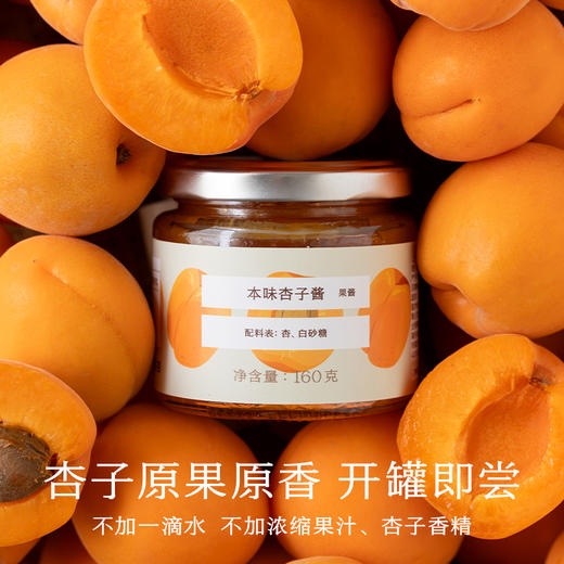 南食召 本味杏子酱 商品图1