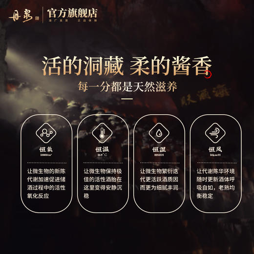 【正品保证】第三代洞藏20  整箱 500ml*6 商品图3