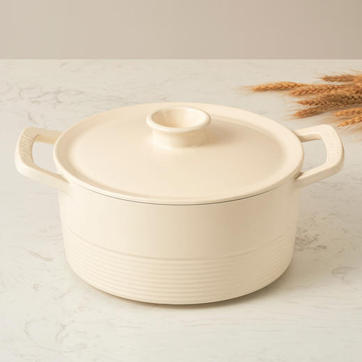 1020394 双立人Dragon铸铁圆炖锅奶油白26cm 商品图5