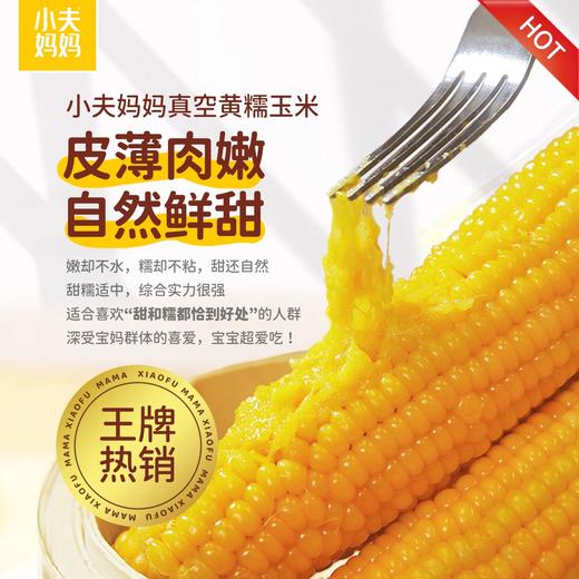 小夫妈妈东北有机玉米 黄糯&花糯玉米 软糯香甜 有机认证 非转基因! 商品图2