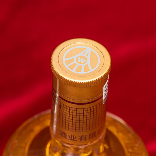 【年货节】五粮液 三江汇海 宜品 竹荪酒 52度 500ml*2瓶【礼盒装】 商品图3
