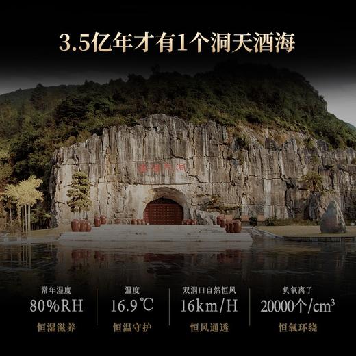 【正品保证】第三代洞藏20  整箱 500ml*6 商品图6