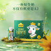 认养一头黑土A2有机梦幻盖牛奶 250ml*10盒*2提 商品缩略图1