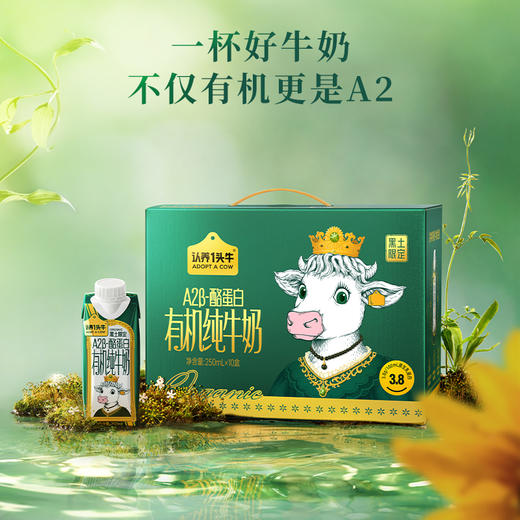 认养一头黑土A2有机梦幻盖牛奶 250ml*10盒*2提 商品图1