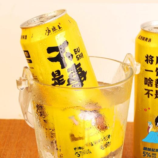 庐陵王起泡黄酒5度微醺低度数黄酒  480ml/瓶 商品图1