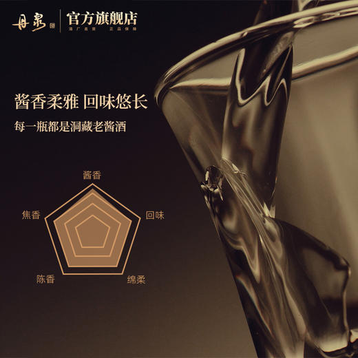 【正品保证】第三代洞藏20  整箱 500ml*6 商品图2