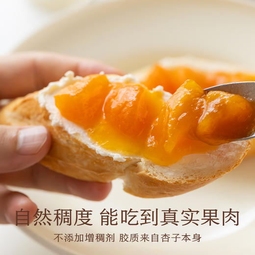 南食召 本味杏子酱 商品图4