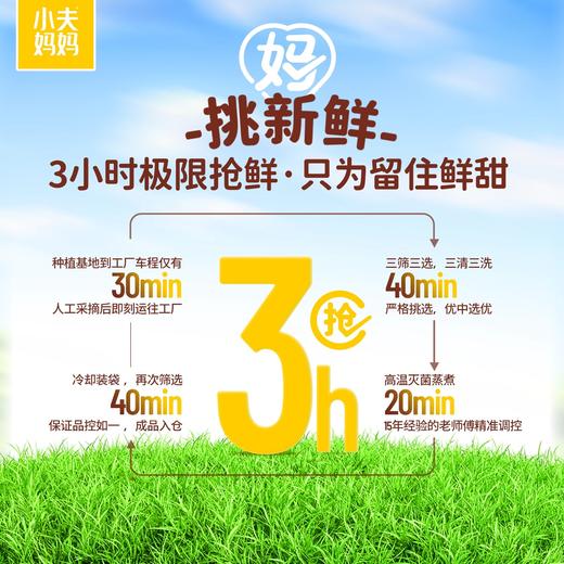 小夫妈妈东北有机玉米 黄糯&花糯玉米 软糯香甜 有机认证 非转基因! 商品图4