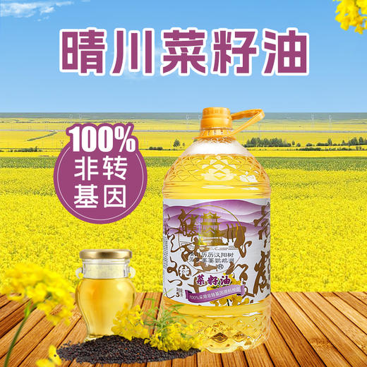 福达坊晴川非转基因物理压榨纯菜籽油5L 商品图0