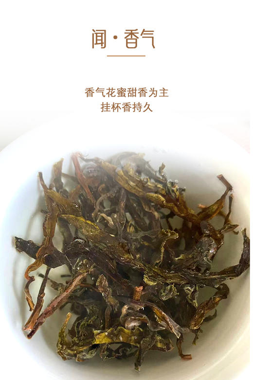 生普 | 洪海古树2023年野生茶100g/饼 商品图2