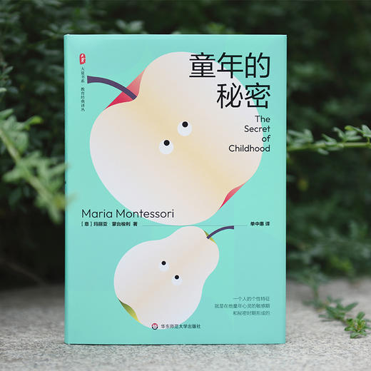 童年的秘密 大夏书系 蒙台梭利 儿童教育成长 儿童心理 商品图11