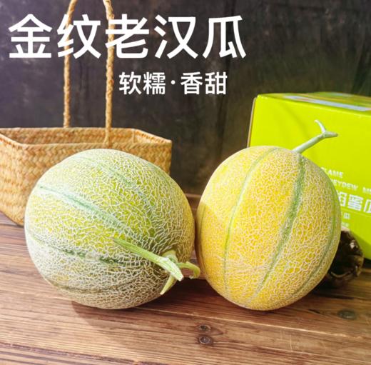 新疆金纹老汉双拼蜜瓜新疆吐鲁番基地现摘现发 商品图1