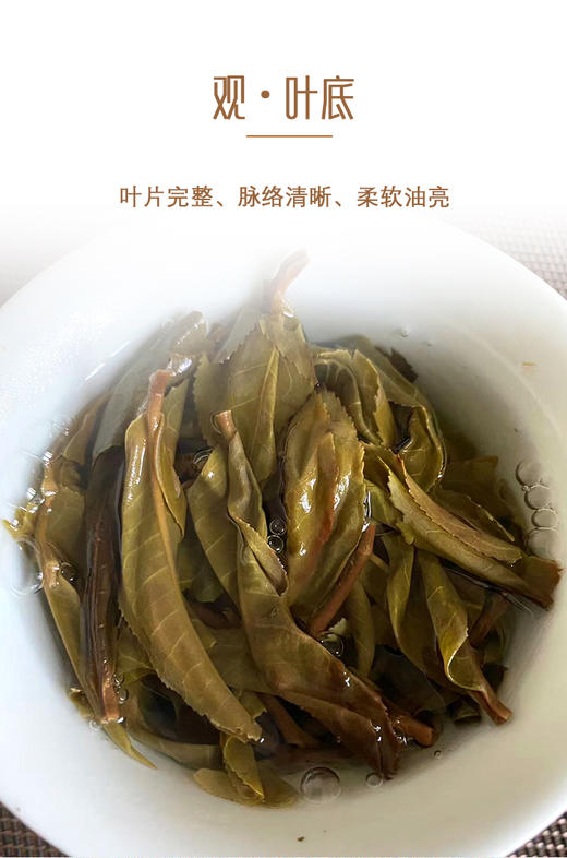 生普 | 洪海古树2023年野生茶100g/饼 商品图4