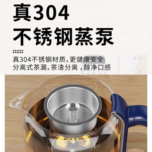 【分仓直发包邮】欧锐铂花漾蒸茶养生壶ORB-532 商品图1