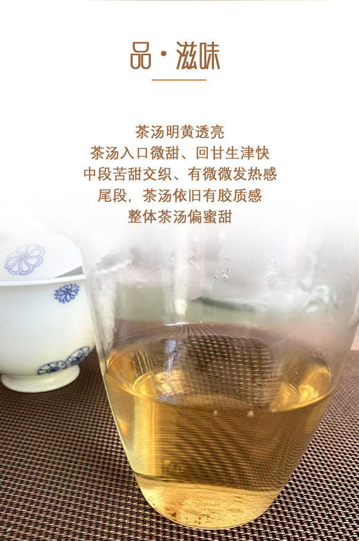 生普 | 洪海古树2023年野生茶100g/饼 商品图3