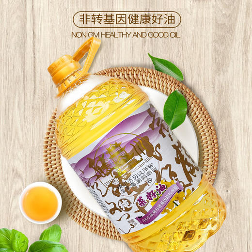 福达坊晴川非转基因物理压榨纯菜籽油5L 商品图1