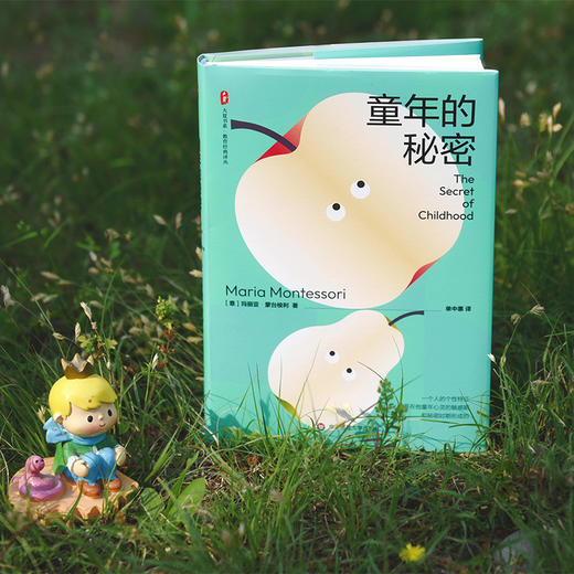 童年的秘密 大夏书系 蒙台梭利 儿童教育成长 儿童心理 商品图14