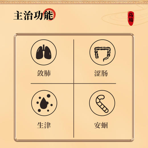 康美药业乌梅200g/瓶 康美罐装中药饮片 商品图5