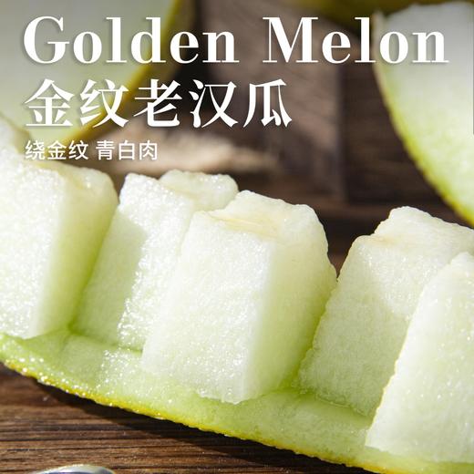 新疆金纹老汉双拼蜜瓜新疆吐鲁番基地现摘现发 商品图2