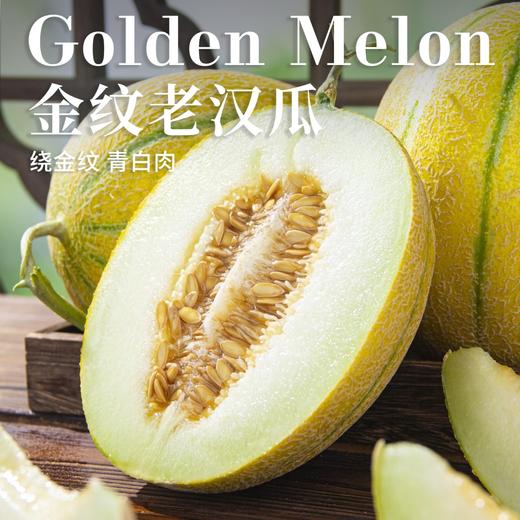 新疆金纹老汉双拼蜜瓜新疆吐鲁番基地现摘现发 商品图0