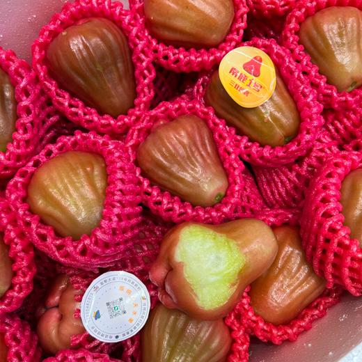 海南黑金刚莲雾 海南空运 好好吃的莲雾 商品图8