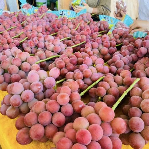 【大理•妮娜皇后葡萄】 顺丰空运到家 颜值诱人 香甜多汁 花香的清新 果香的鲜甜 奶香的醇蜜 酒香的层次 多种规格任选 商品图3