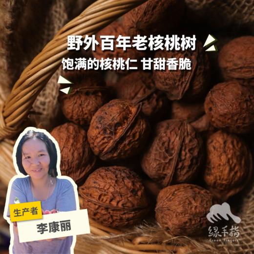 野生纸皮核桃 | 合作生产* Wild walnut | Coproduction 商品图0