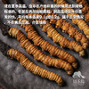 【88折-95折优惠】野生高海拔新鲜冬虫夏草（玉树）| 合作生产 * Yushu high altitude fresh Cordyceps sinensis | Partner Production 商品缩略图1