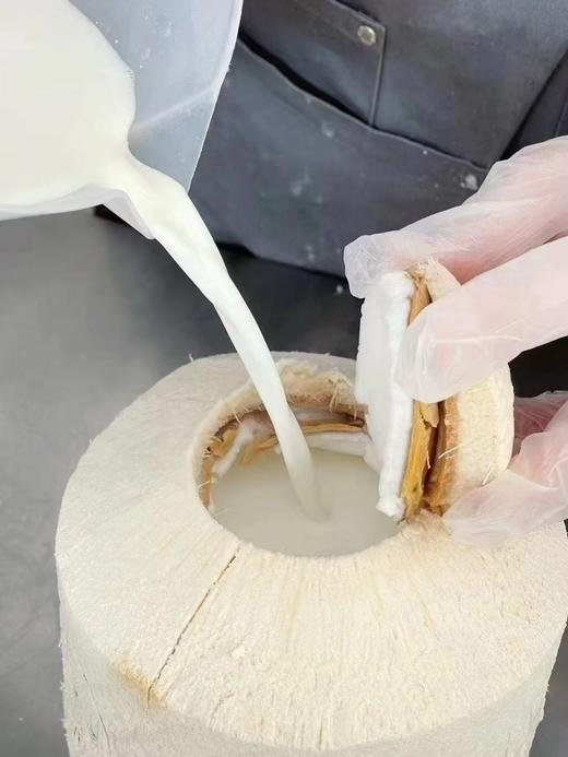 椰子冻（下午4点左右出货） 商品图0