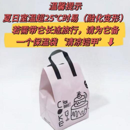 一次性蛋糕保温袋 内附冰包2只 可保温1-2小时（蛋糕需提前6小时下单，不接急单） 商品图0